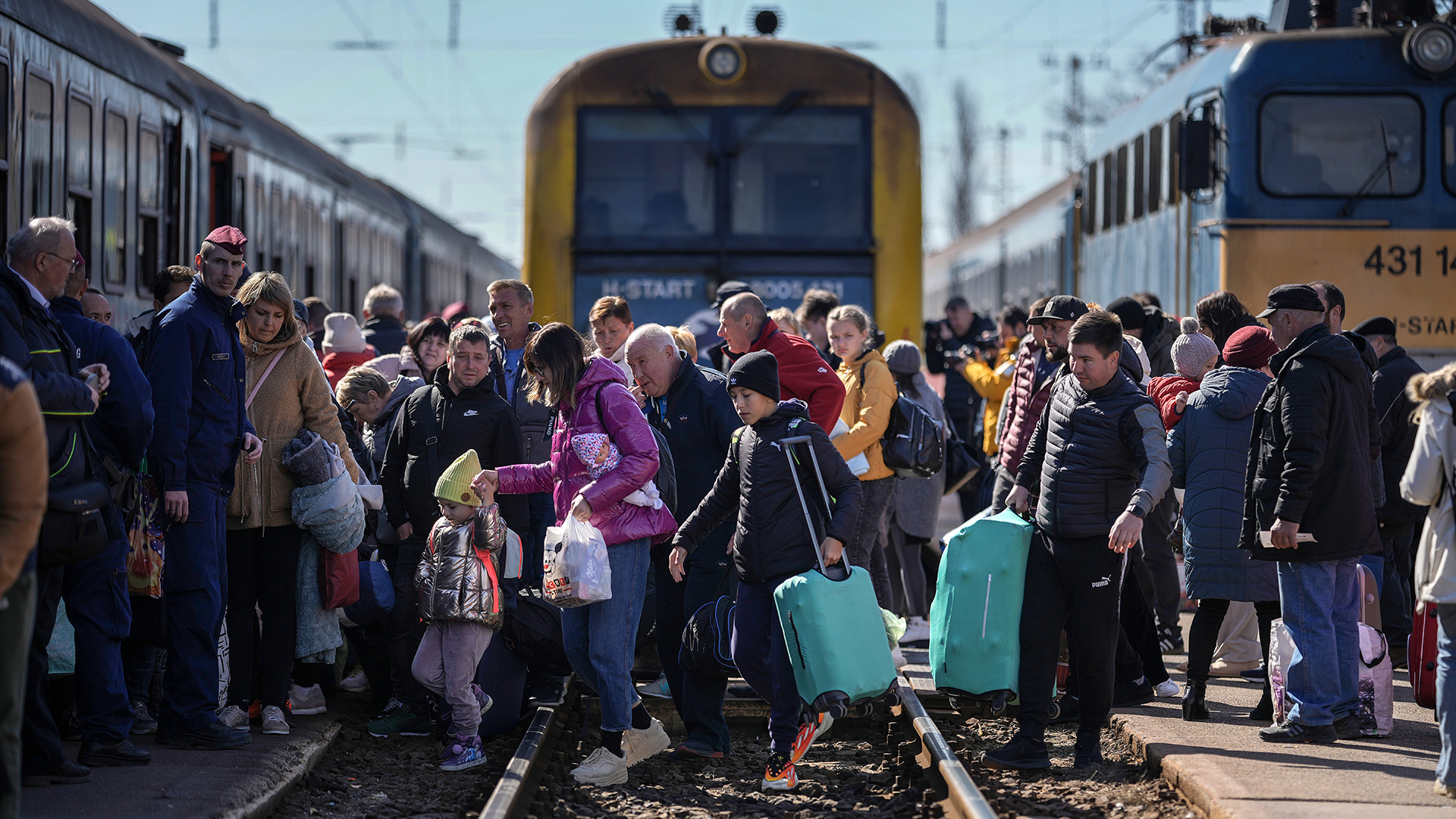 Harvard students create website to help Ukrainian refugees find homes