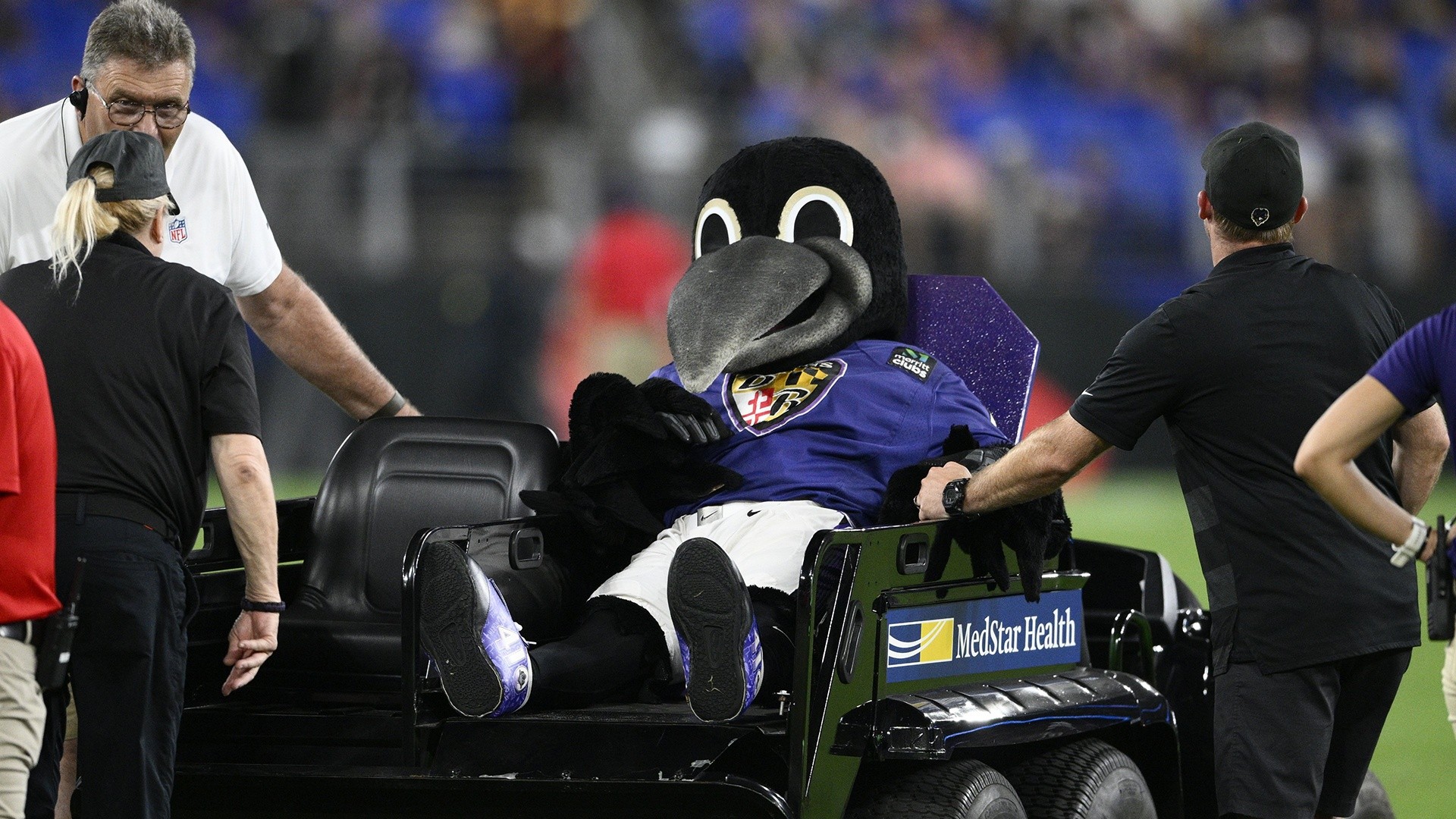 Baltimore Ravens mascot placed on leave after injury