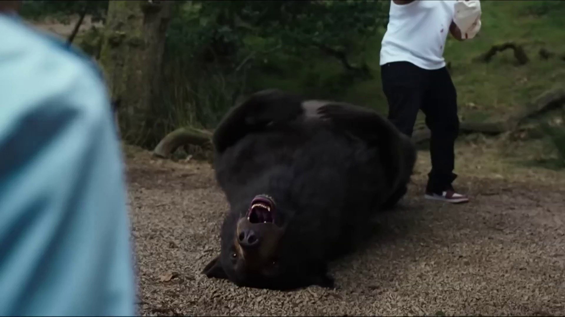 Cocaine Bear' Beats Box Office Expectations, 'Ant-Man 3' Suffers Drop