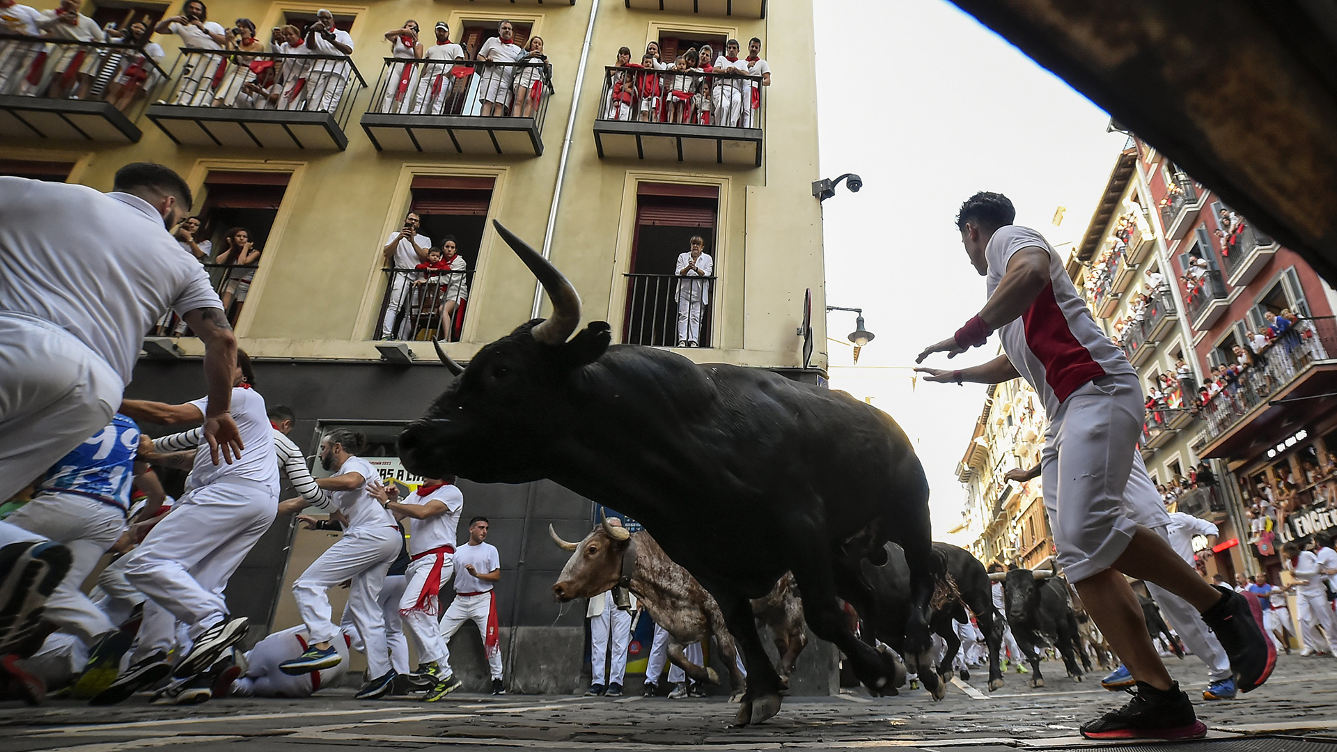 Watch Thousands take part in the running of the bulls in northern Spain