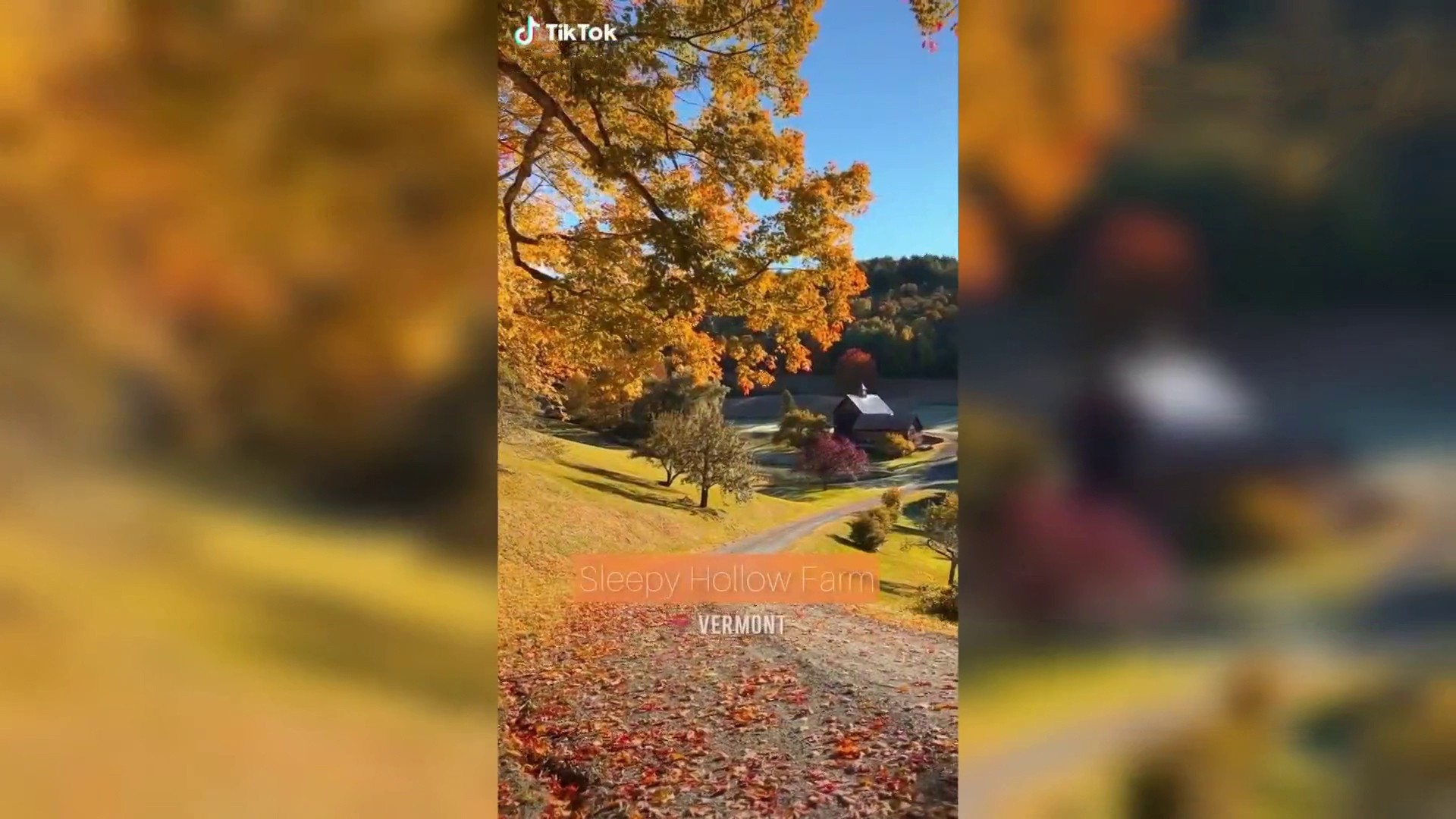 Feud over fall foliage as local Vermont residents ban leaf peepers