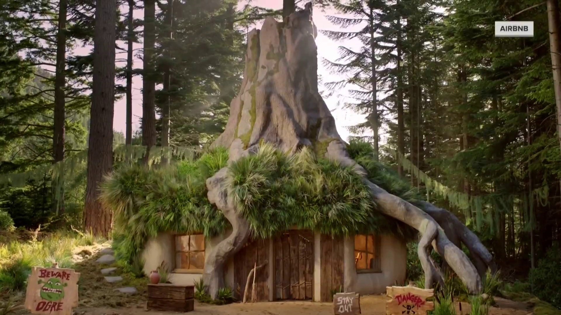 Spend a night in Shrek's swamp! How you can book a stay