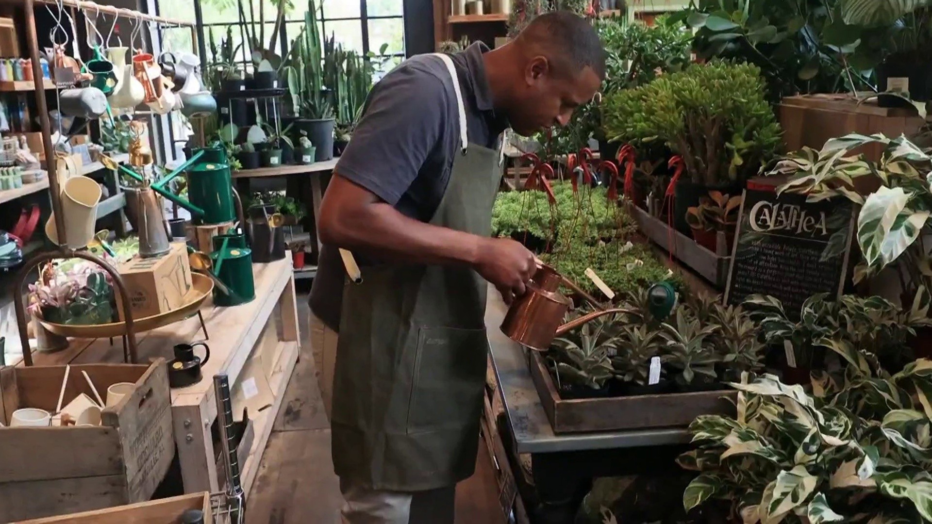 Craig Melvin gets a green thumbs up as a plant shop employee