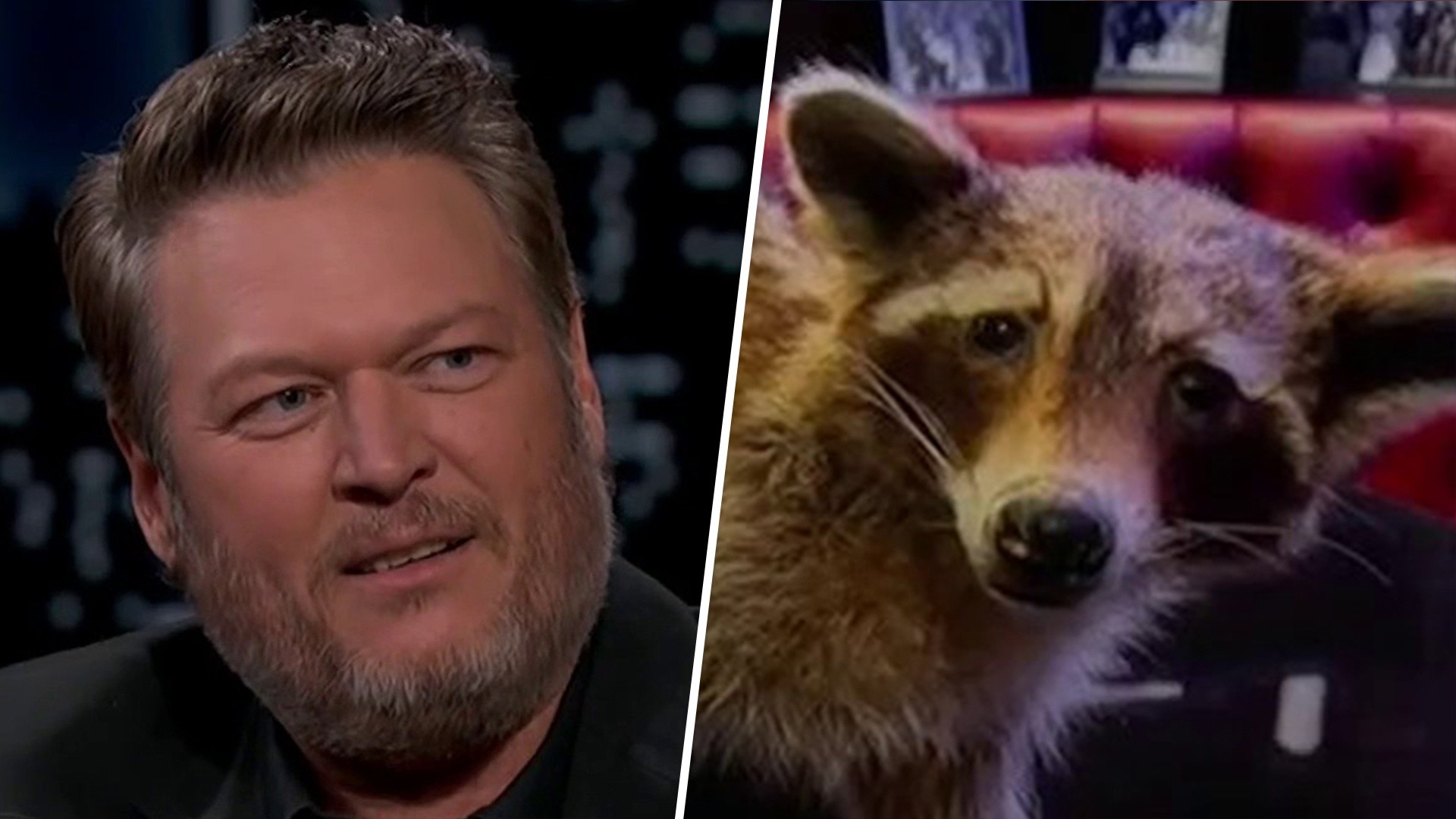 Blake Shelton reveals he gave Carson's daughter a stuffed raccoon