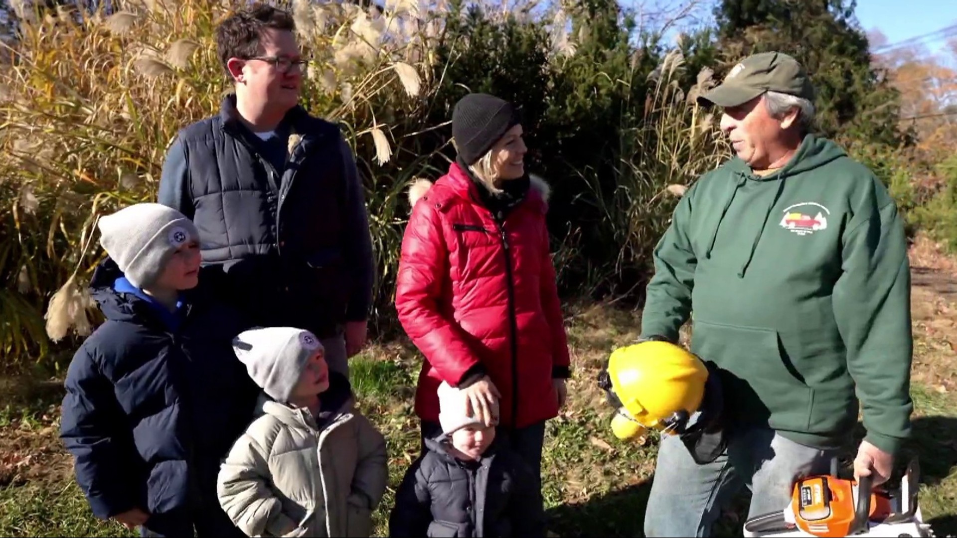 Dylan Dreyer and her family search for the perfect Christmas tree