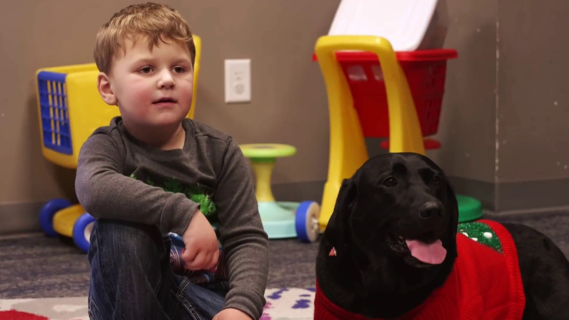 School with beloved therapy dog gets sweet holiday surprise