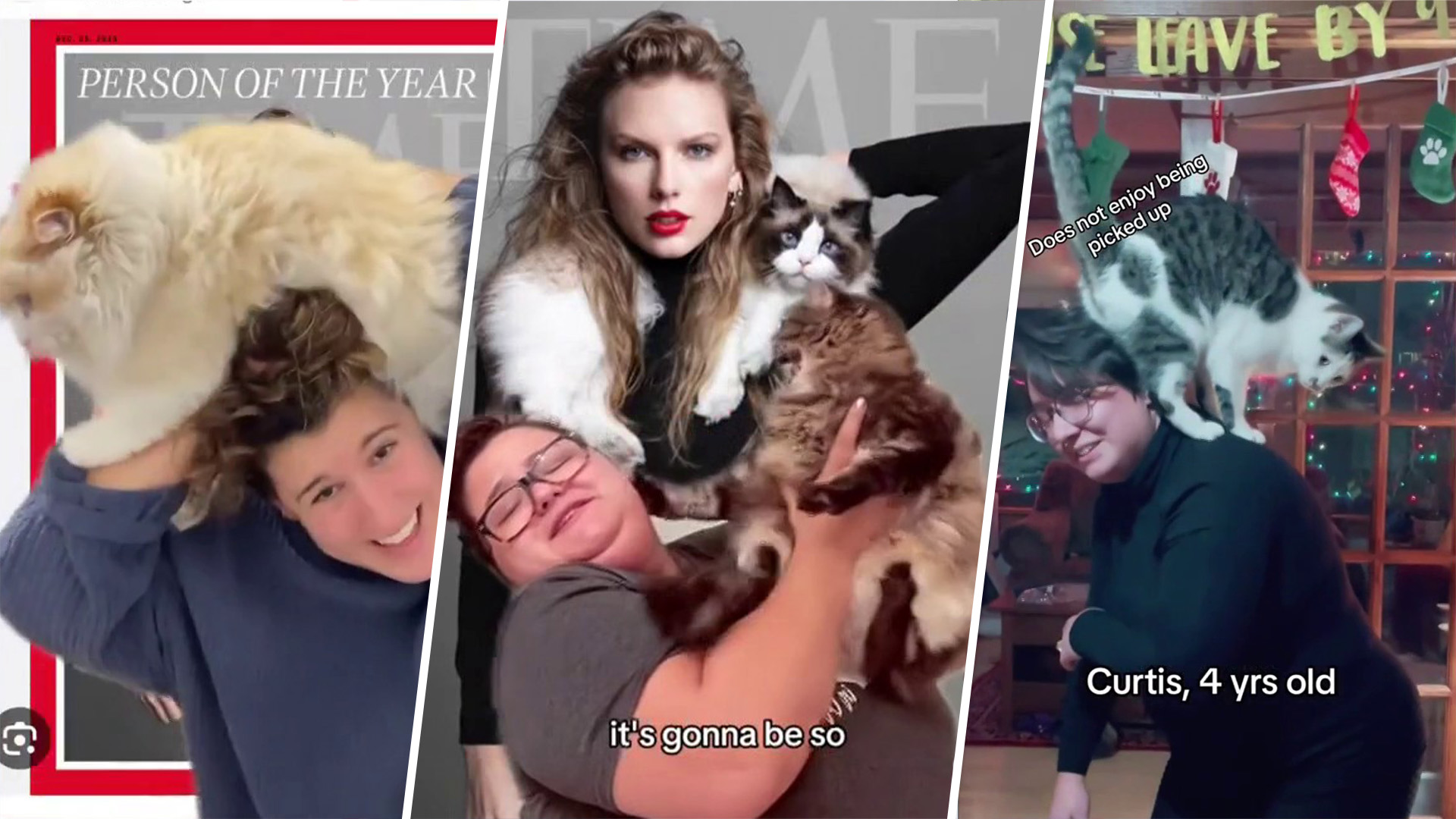 Taylor Swift Poses With Cat on Time Magazine Cover