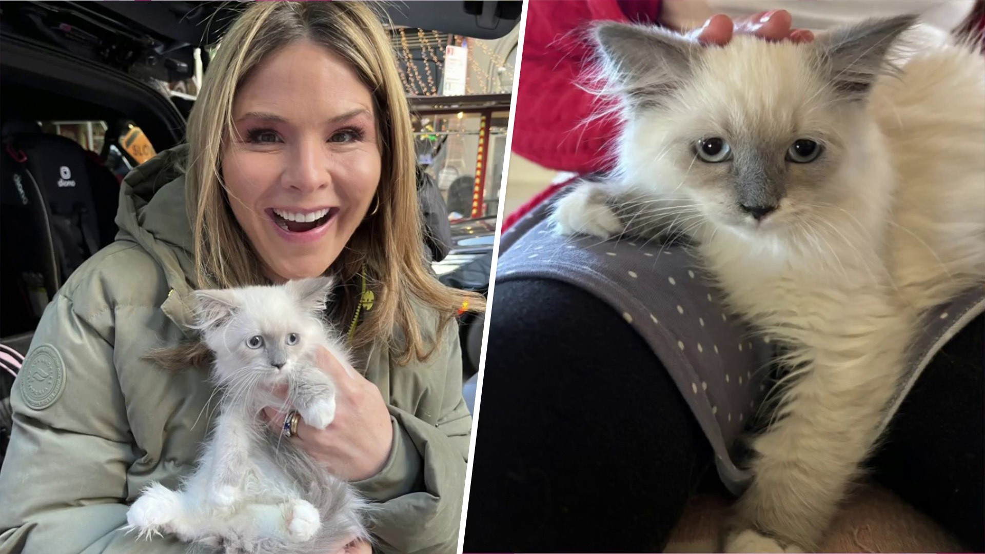 Jenna Bush Hager's family gets 2nd cat for Christmas: See the pics