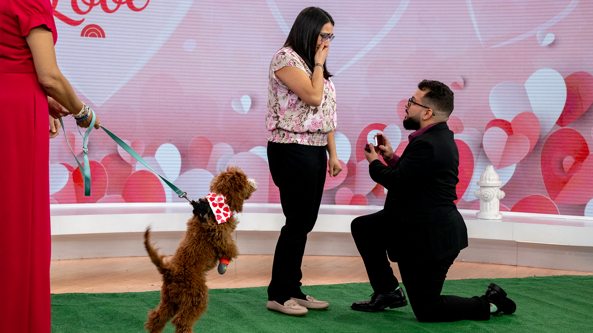 Veterinarian gets surprise marriage proposal live on TODAY