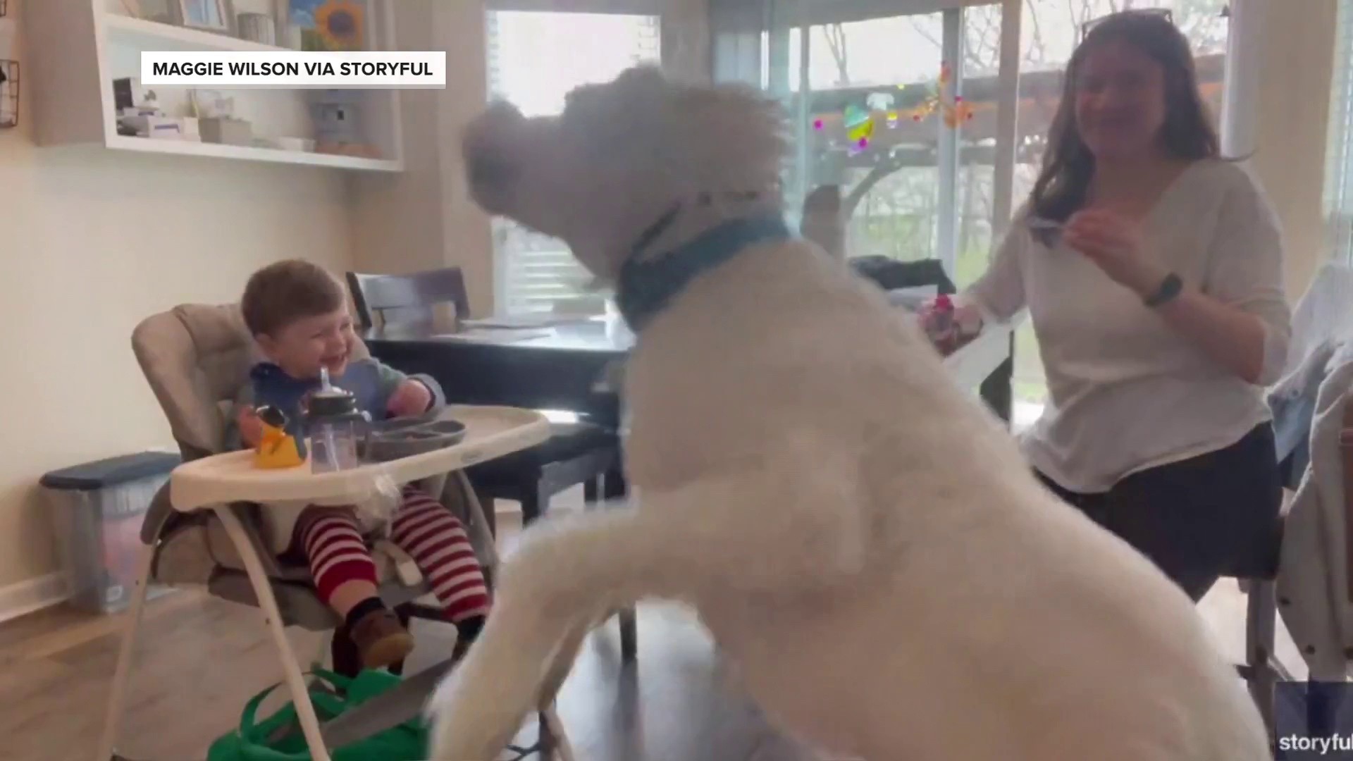 Watch: Mom keeps baby and dog entertained with bubbles
