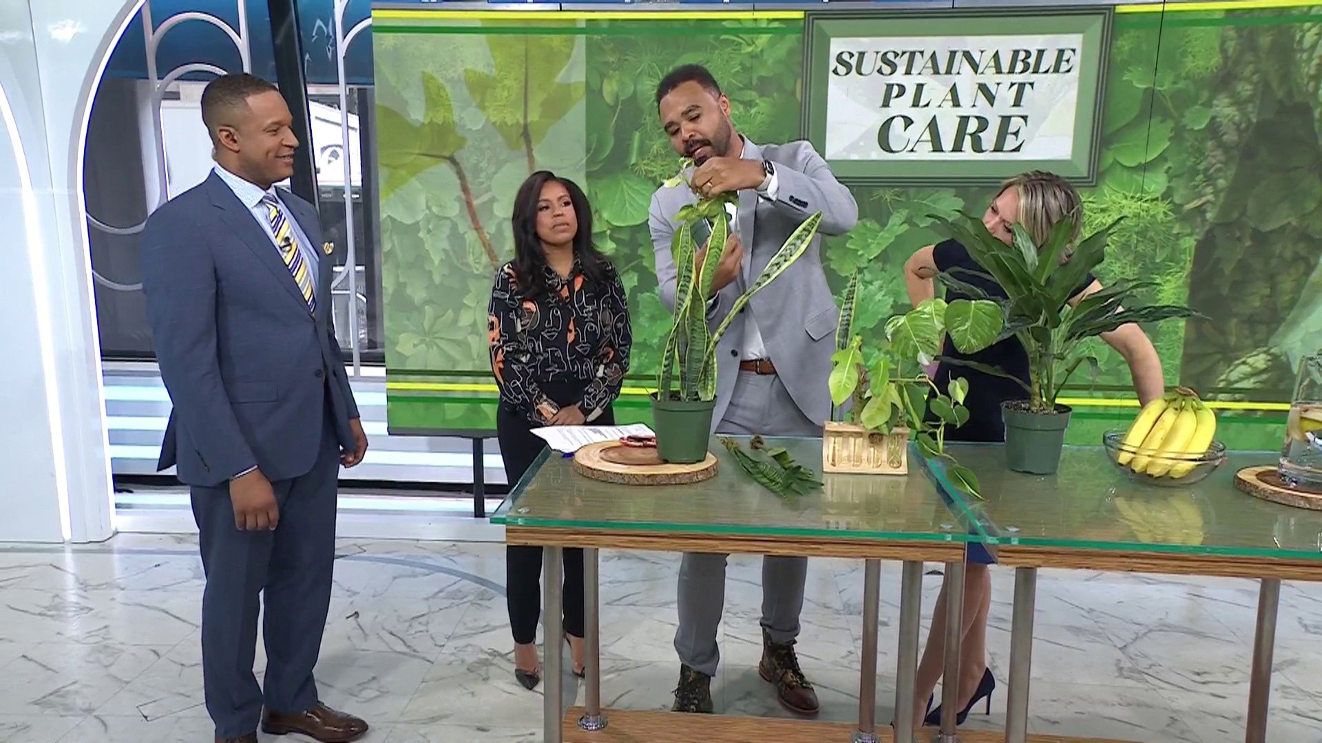 How to use an existing plant to grow a healthy new one