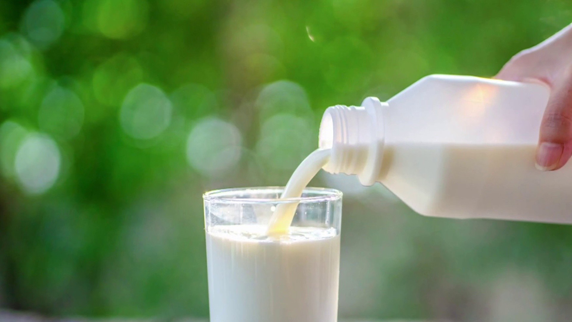FDA says samples of pasteurized milk test positive for bird flu virus