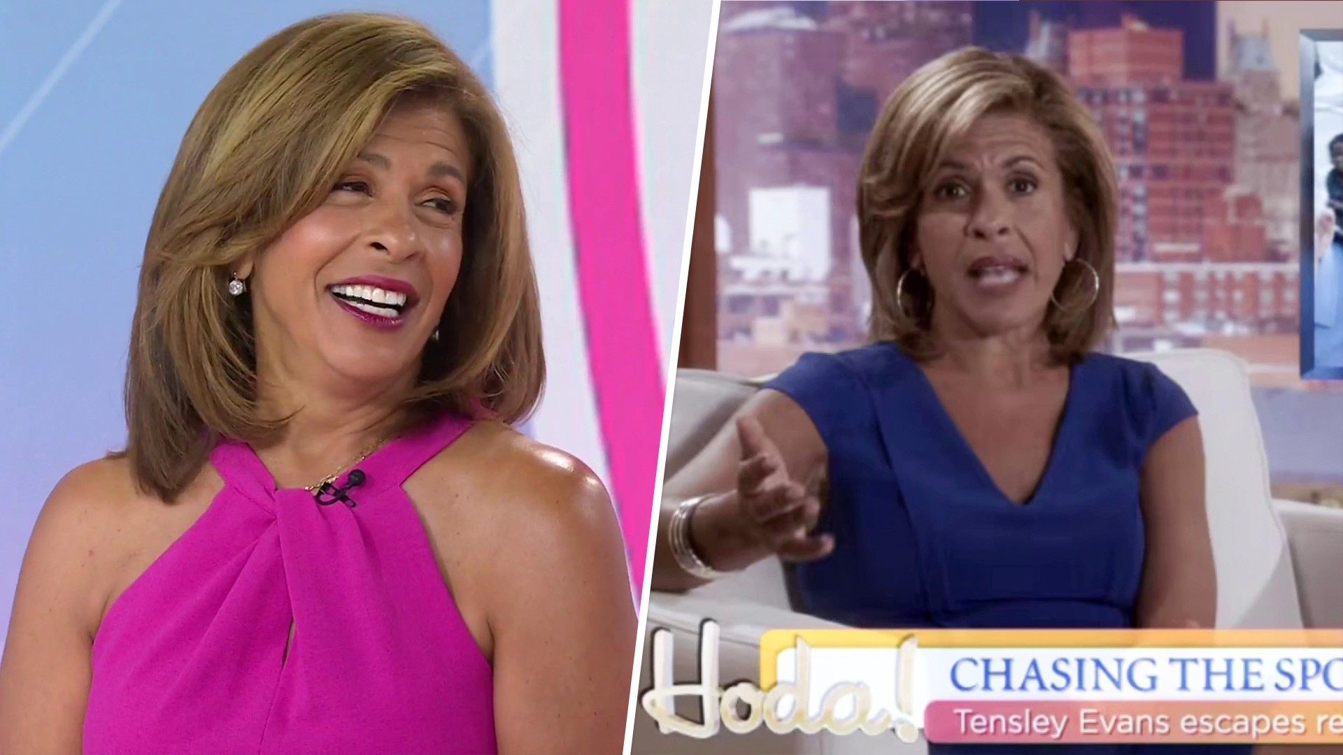 Hoda Kotb recalls her TV and film roles: 'Sharknado,' 'SVU,' more