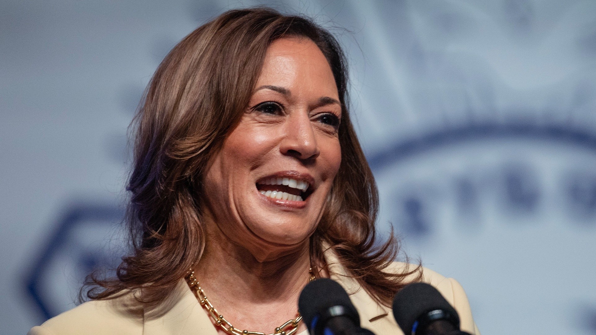 Kamala Harris weighs potential VP picks as 2024 race heats up