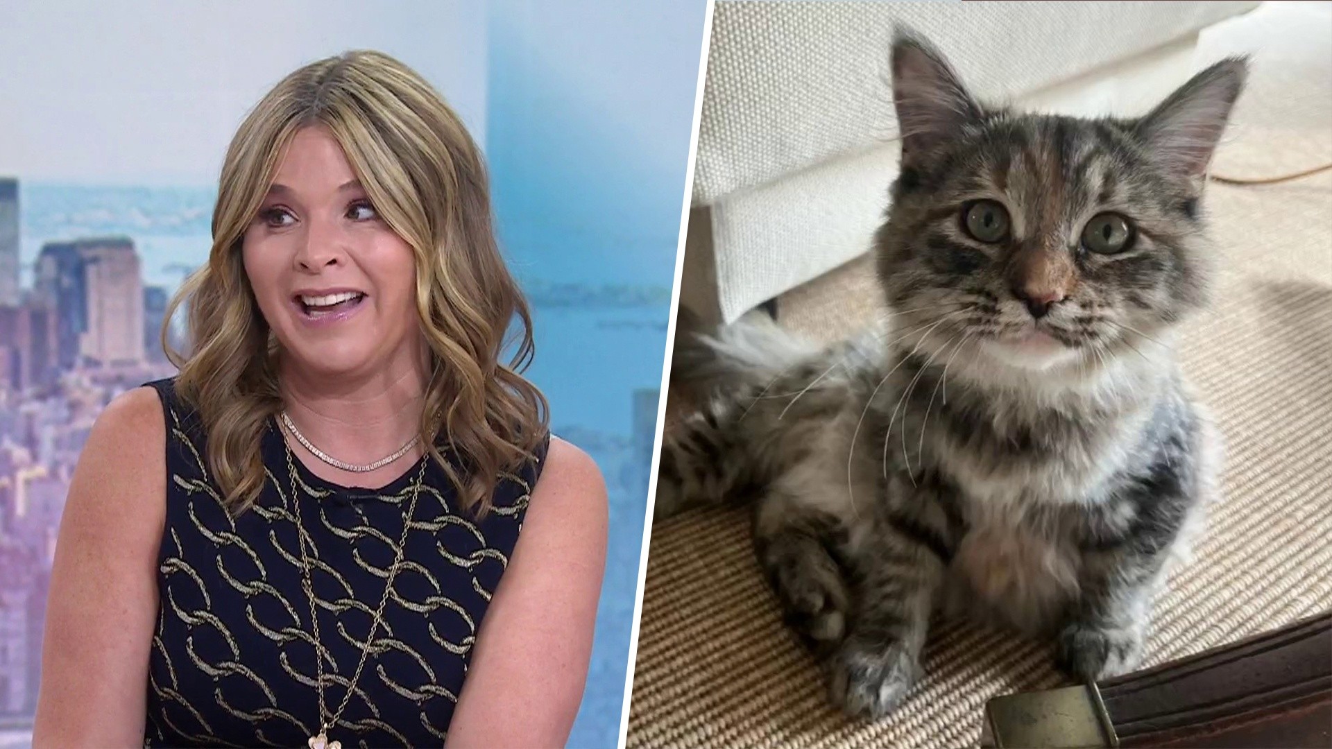 Jenna Bush Hager shares 'heartbreaking' news family cat is missing