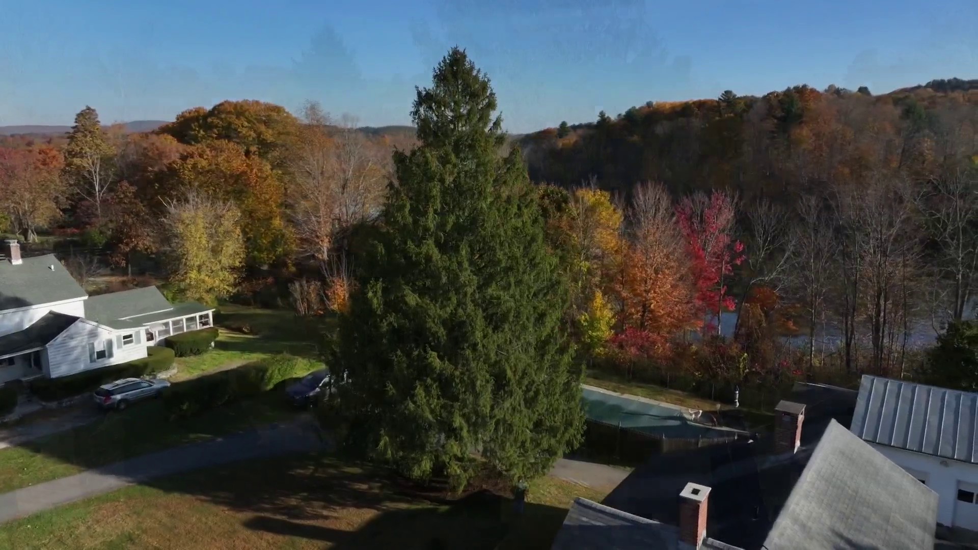 See the spruce set to become the 2024 Rockefeller Christmas tree