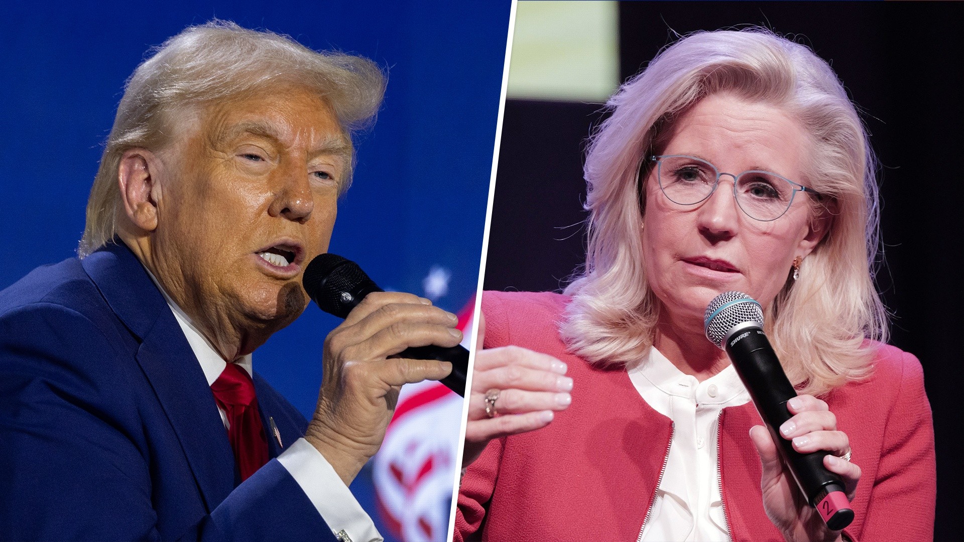 Trump faces backlash for attacking Liz Cheney using violent words
