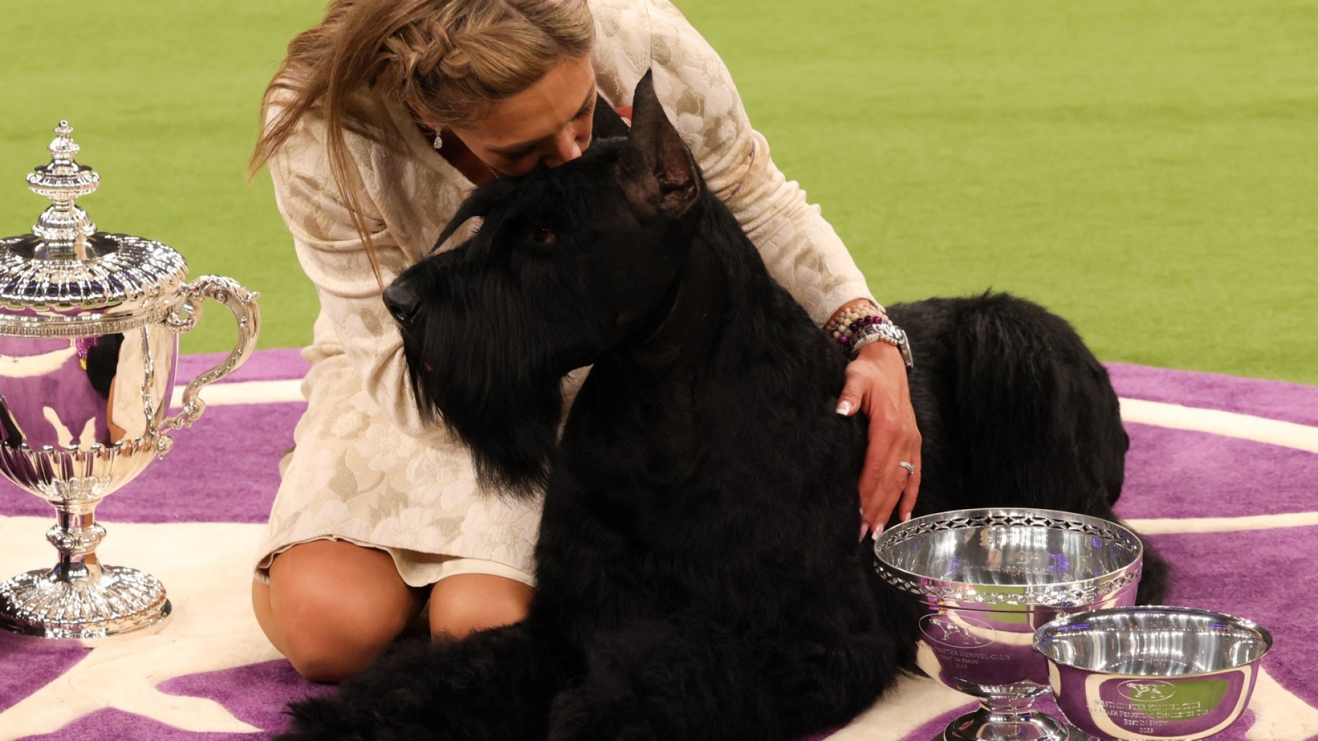 Monty the giant schnauzer wins Westminster Dog Show