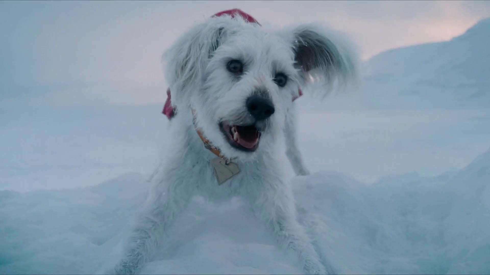 See Krypto help the Man of Steel in new ‘Superman’ clip