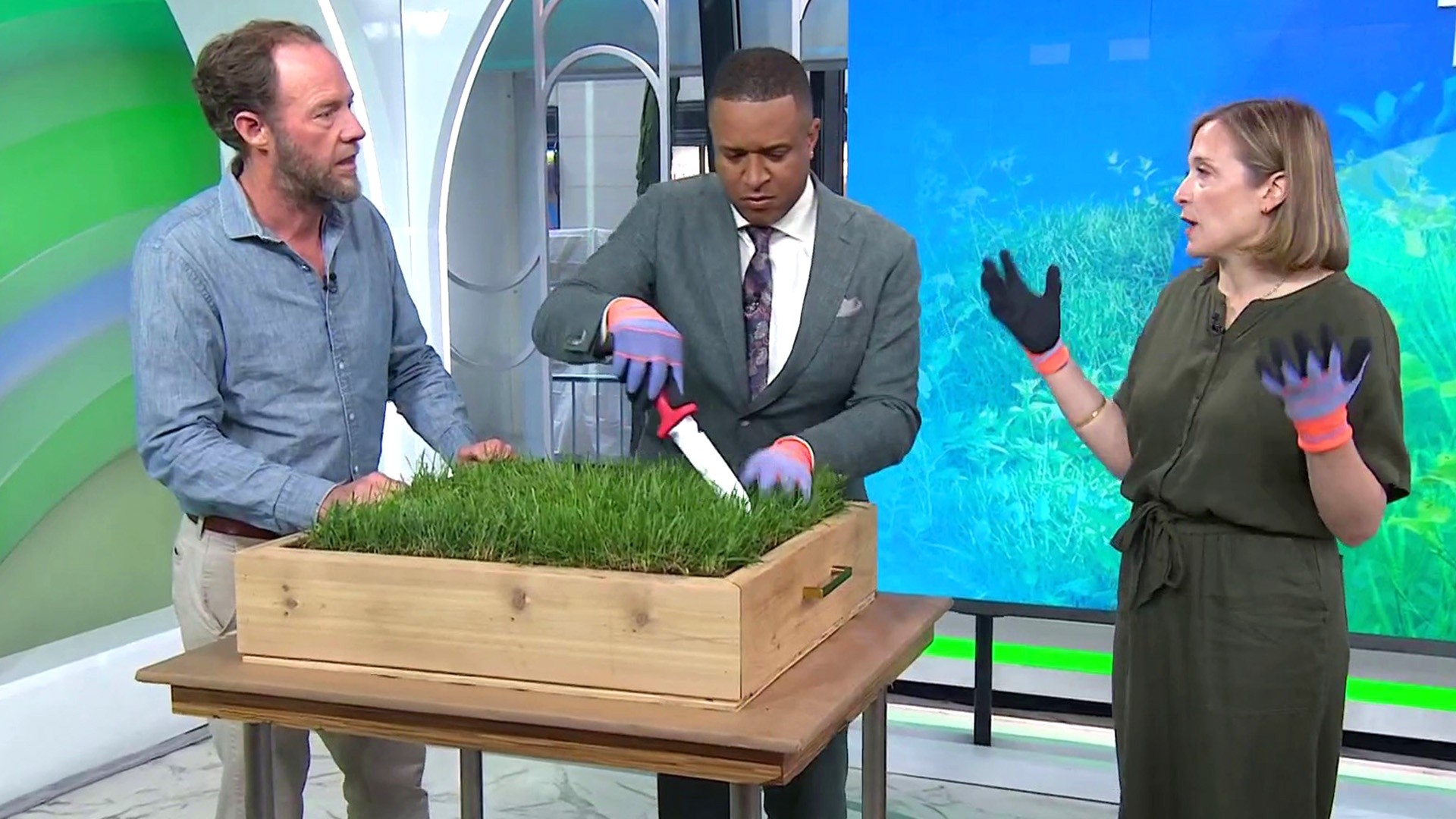 Growing trend: Why more people are 'rewilding' their lawns