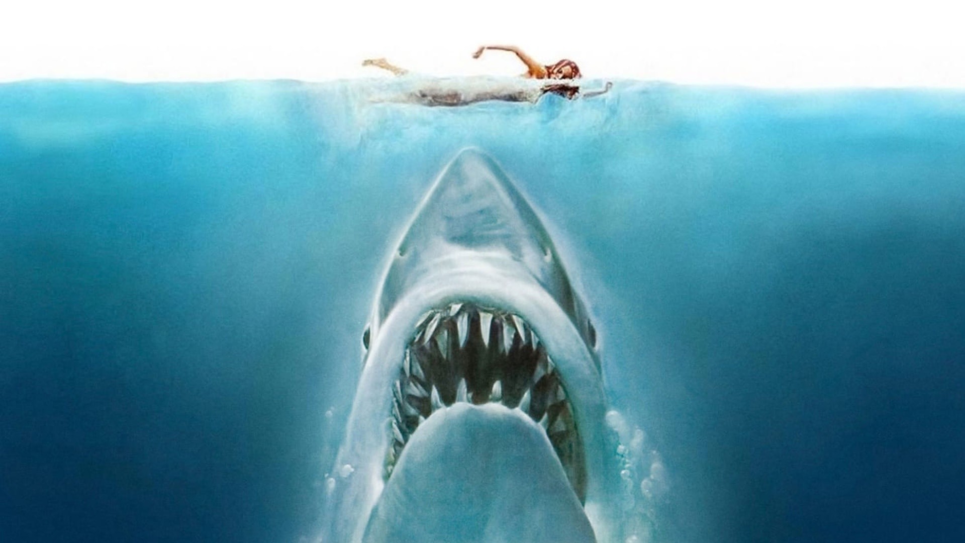 How fans are celebrating the 50th anniversary of 'Jaws'