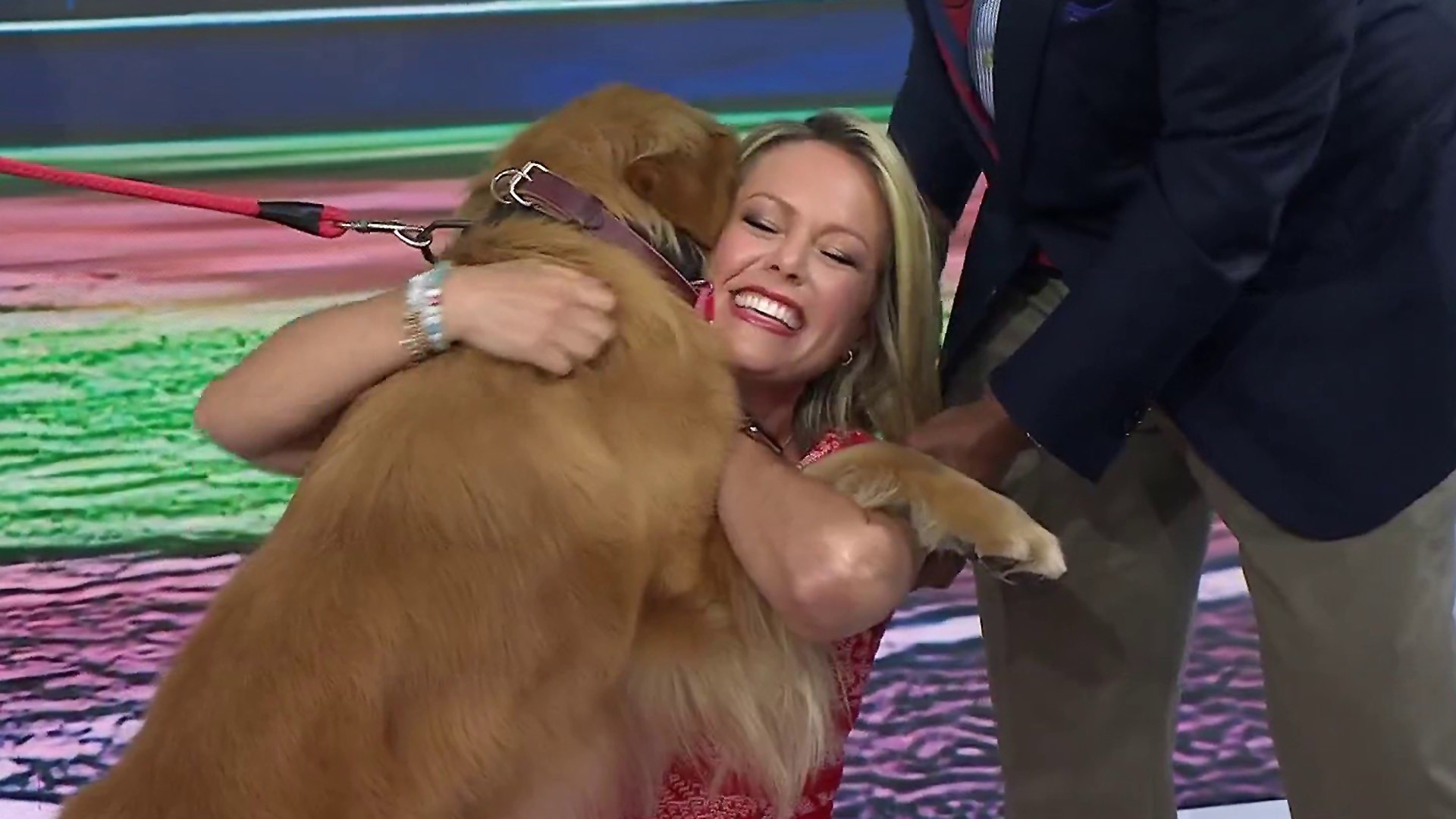 Bruce the MLB's Bat Dog Shows off Bat-Fetching Skills on TODAY!