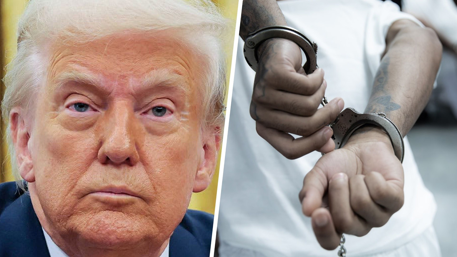 President Trump / Person in handcuffs