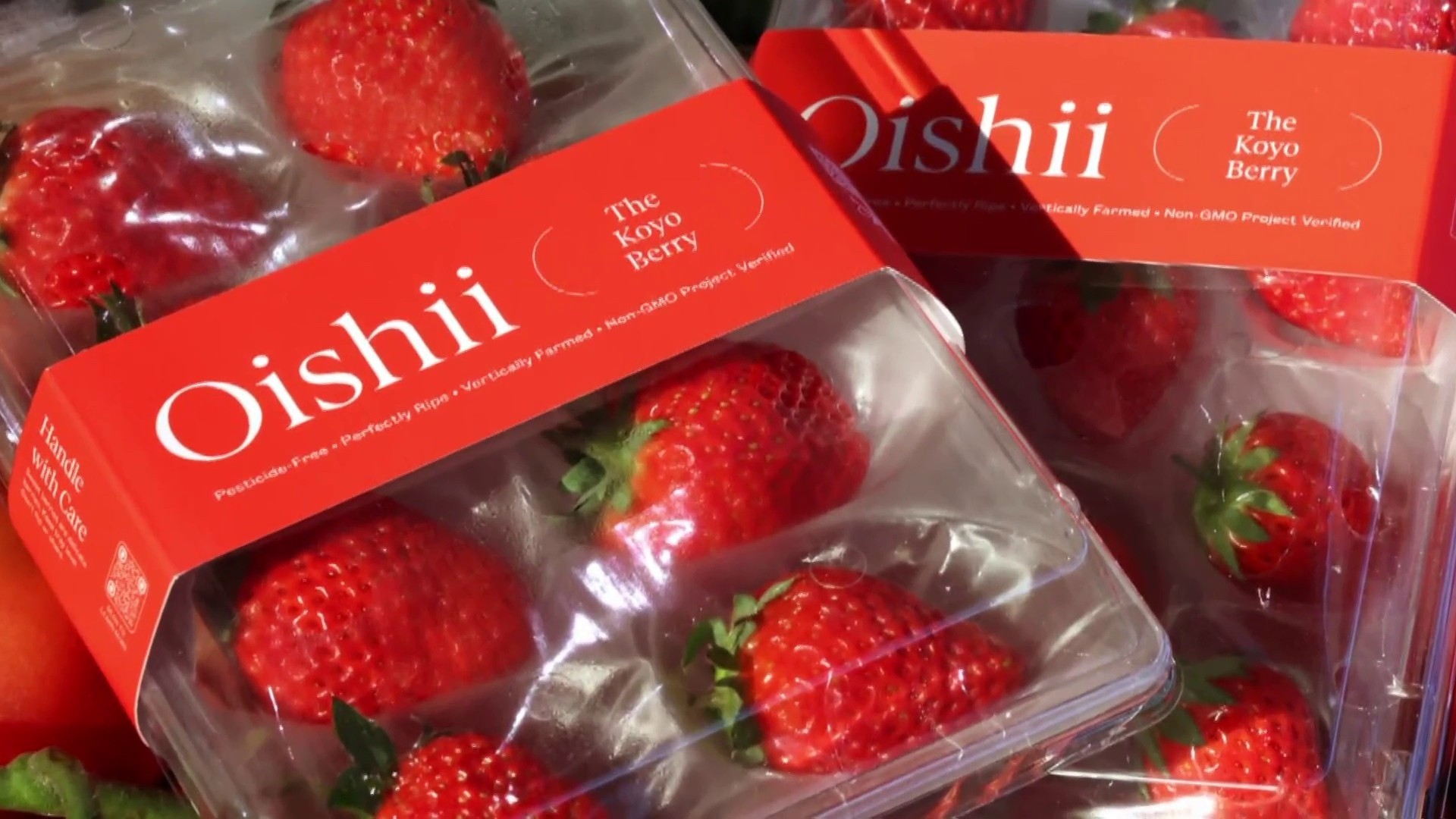 Robots, AI and Bees Work Together to Grow Strawberries All Year