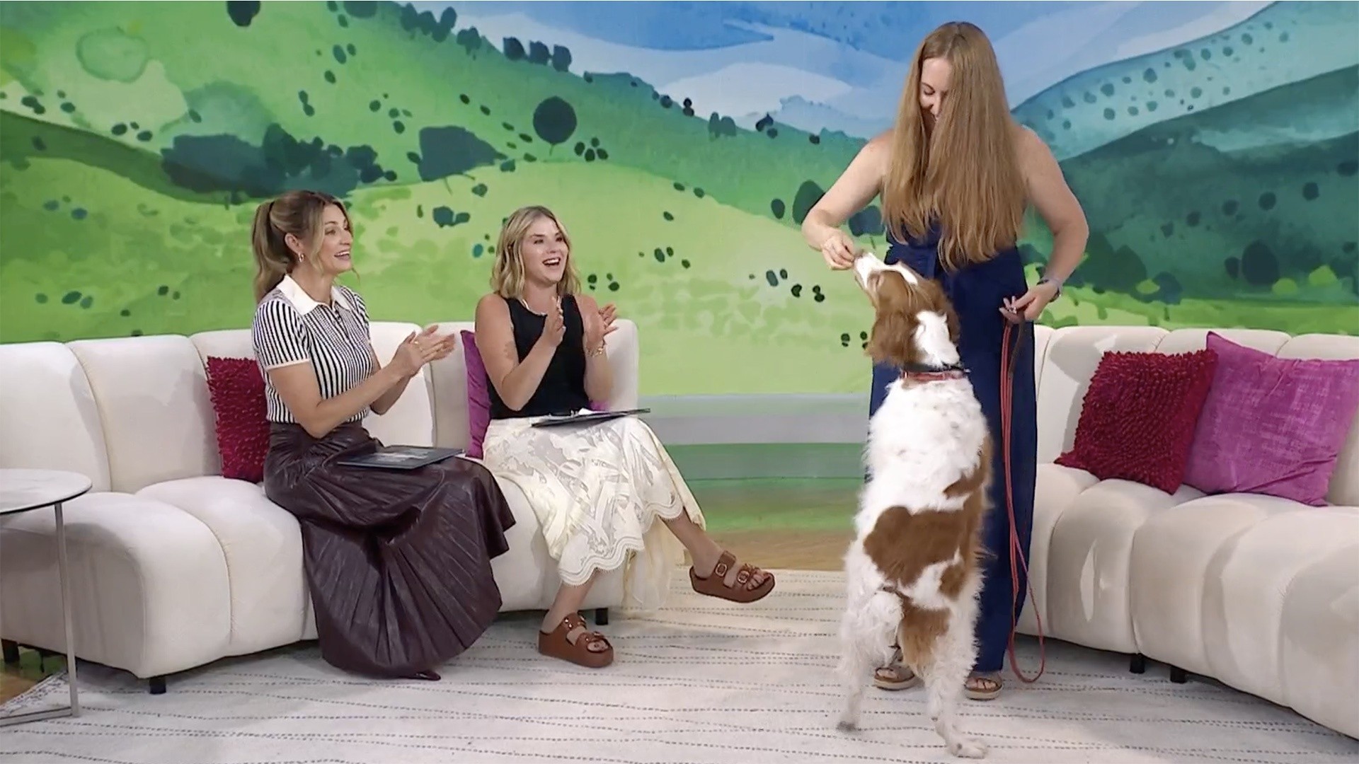 Meet Dexter, the Dog on 2 Legs, Inspiring People to Find Courage