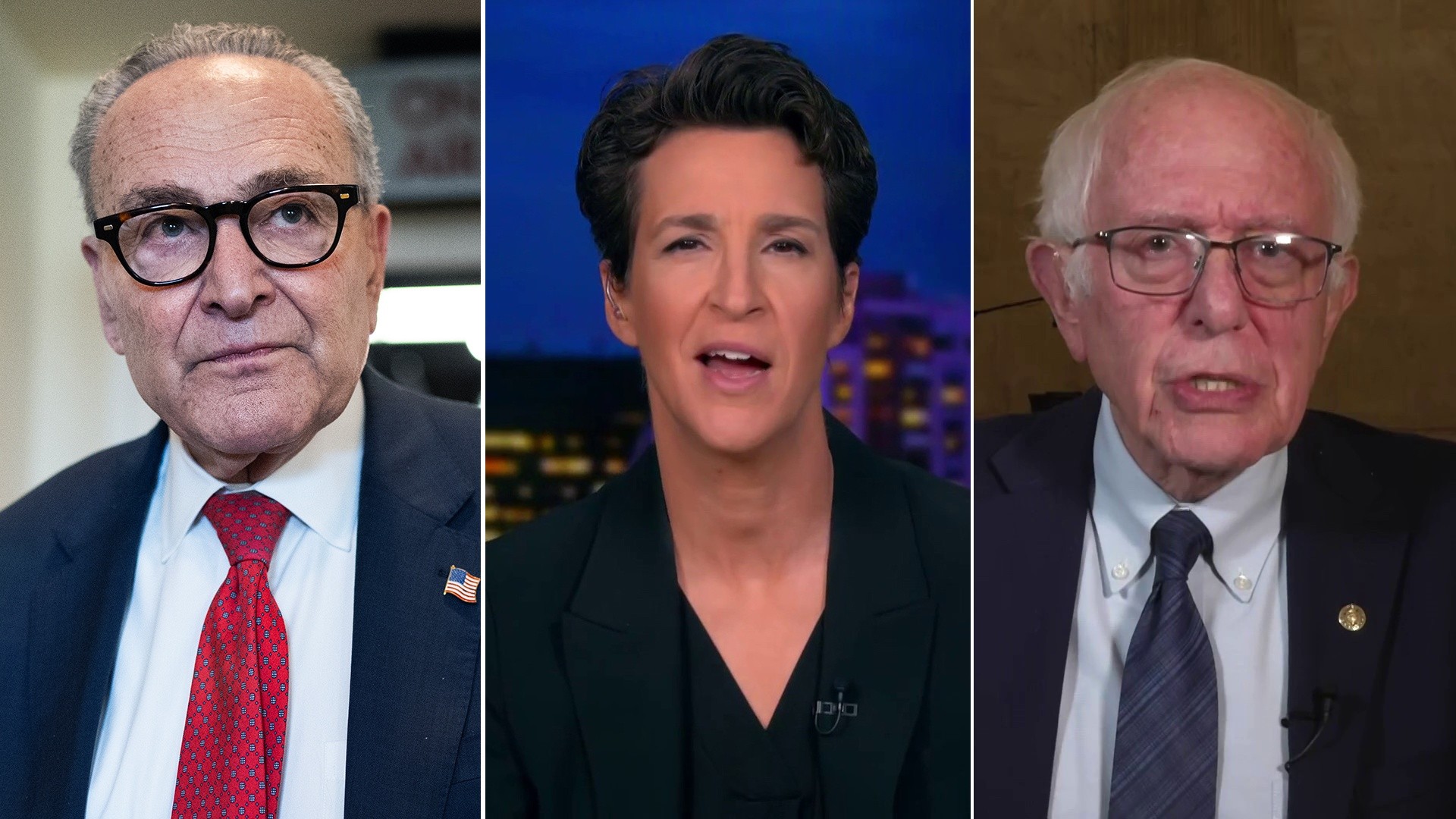 Chuck Schumer, Rachel Maddow and Bernie Sanders