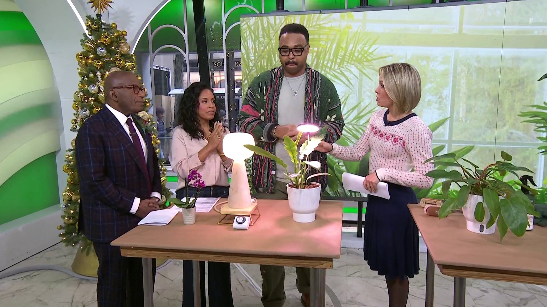 How to Keep Your Plants Thriving During the Winter Months