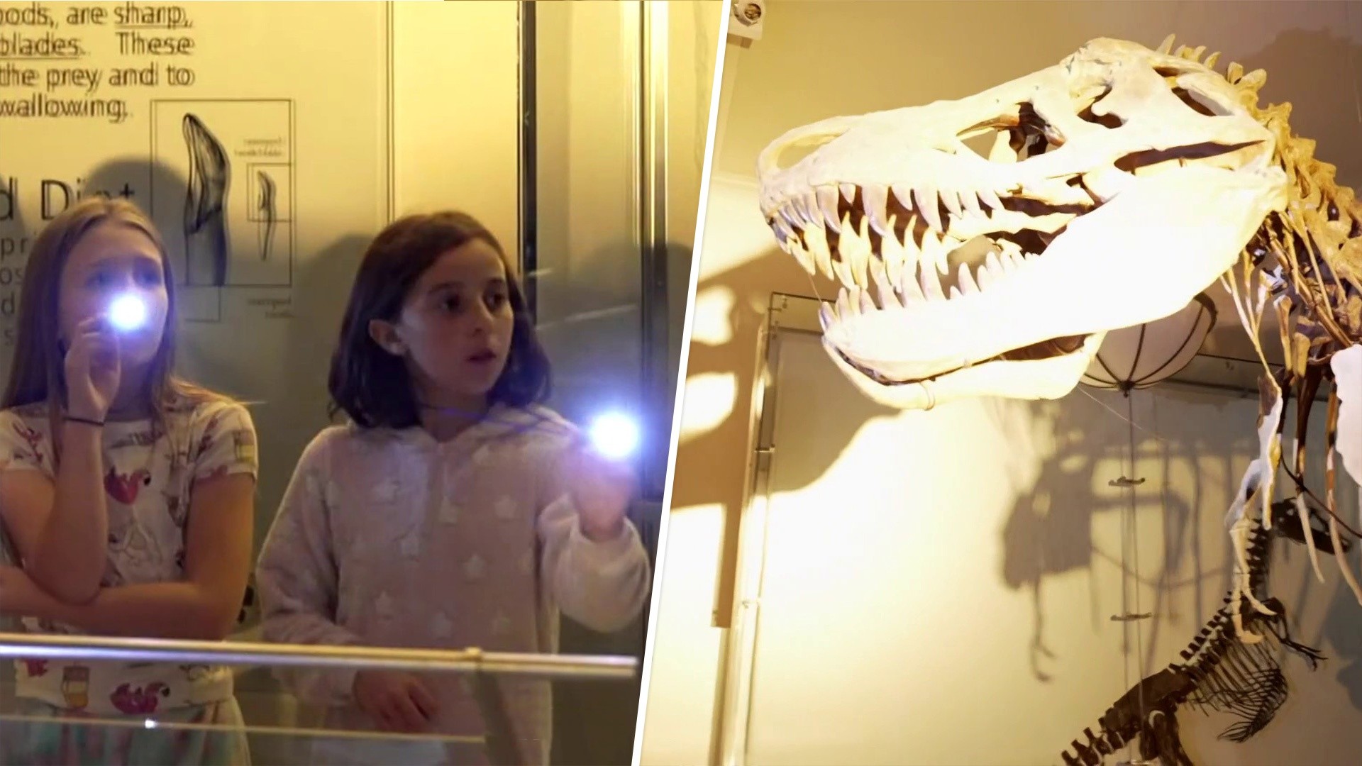 Museum of Natural History's 'Night at the Museum' Returns