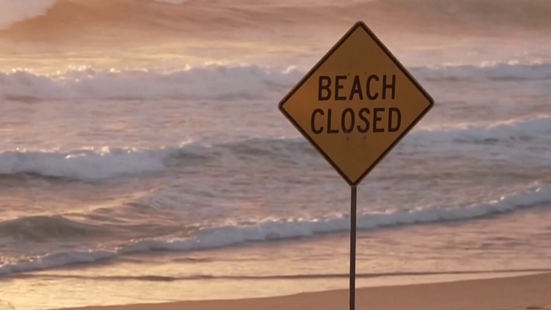 Dozens of Australia Beaches Close After 4 Shark Attacks in 2 Days