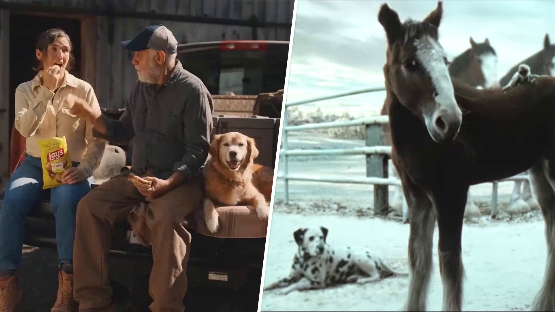 What Were the Top 2026 Super Bowl Commercials?