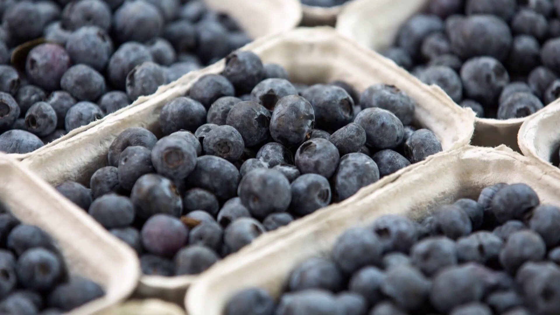 Frozen Blueberries Recalled for Possible Listeria Contamination