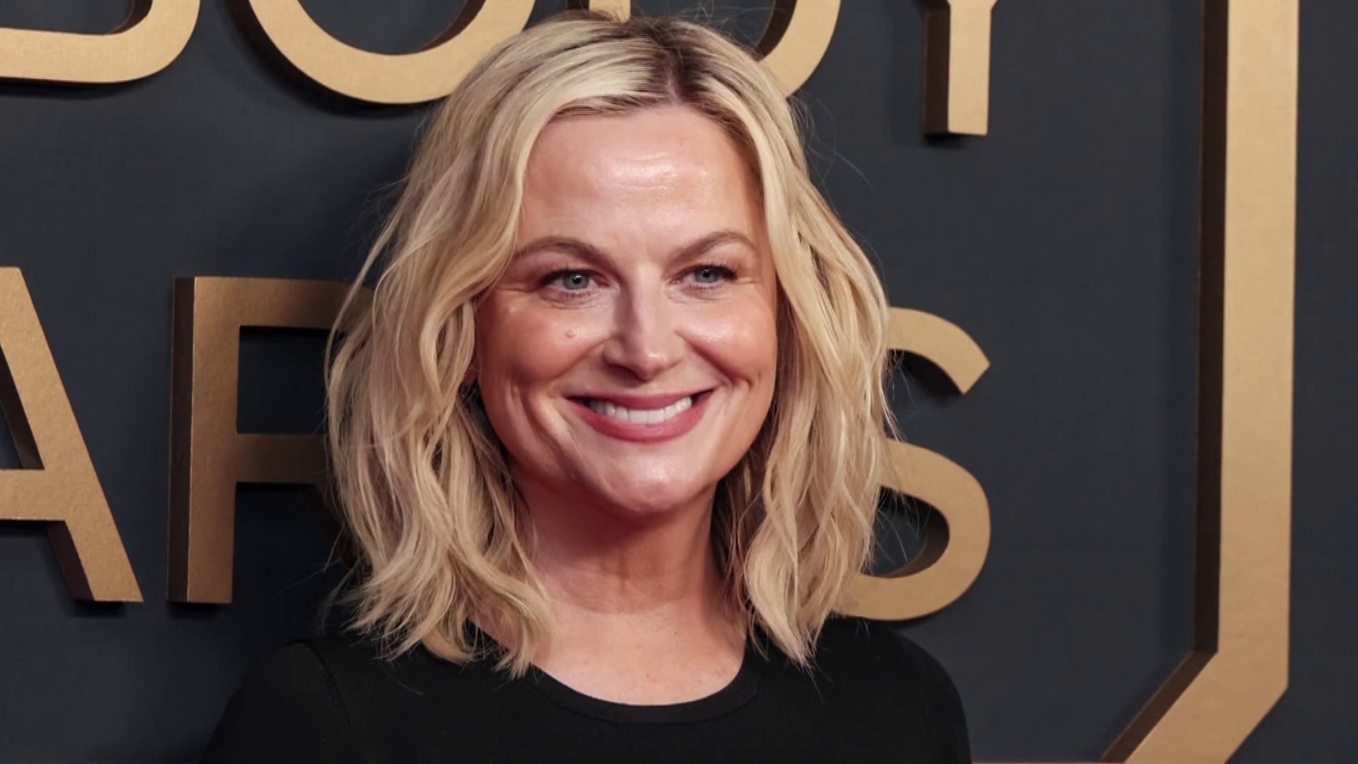 Exclusive: Amy Poehler to Receive Peabody Achievement Award