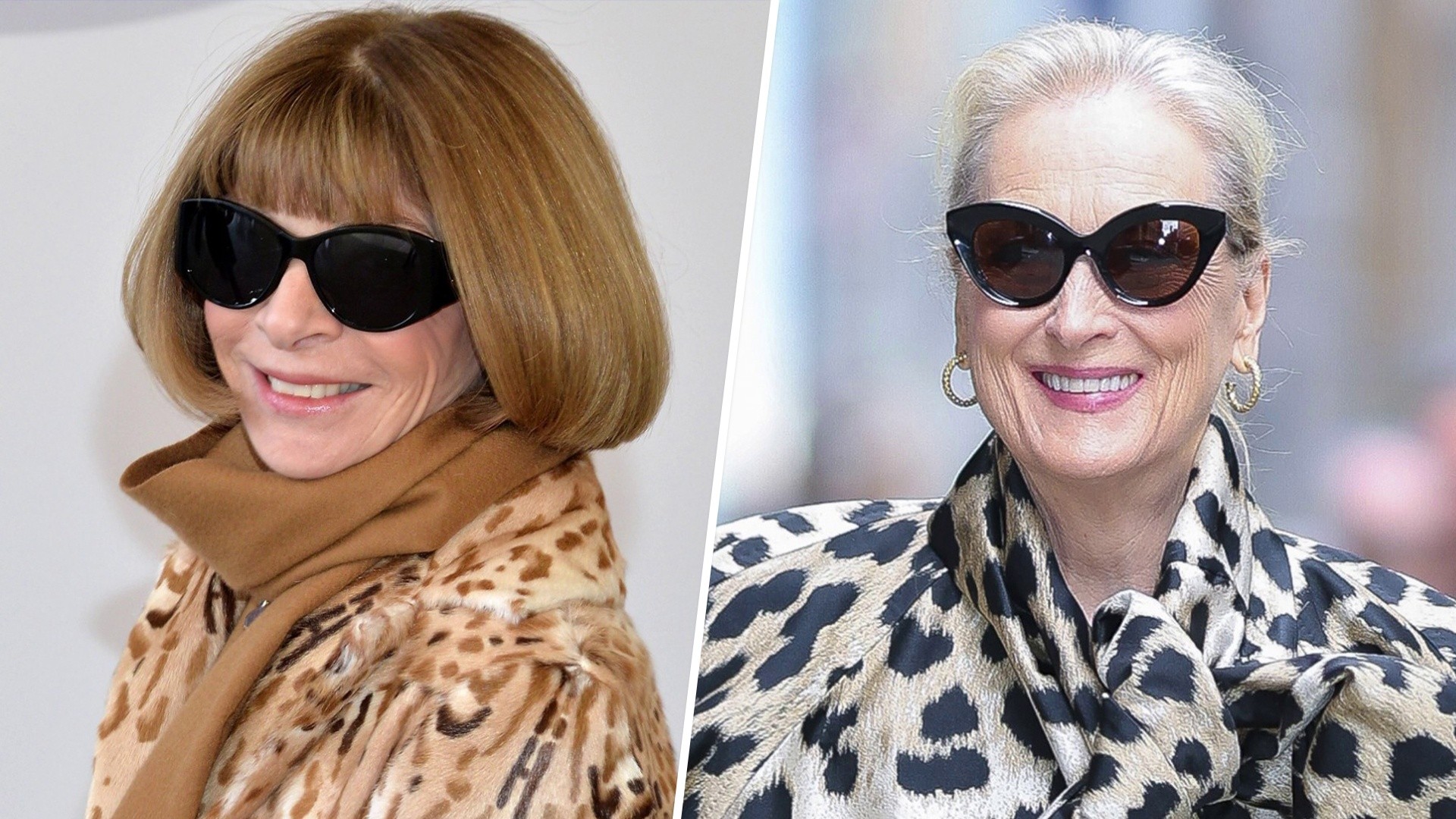 Exclusive: Meryl Streep and Anna Wintour Are 6th Cousins