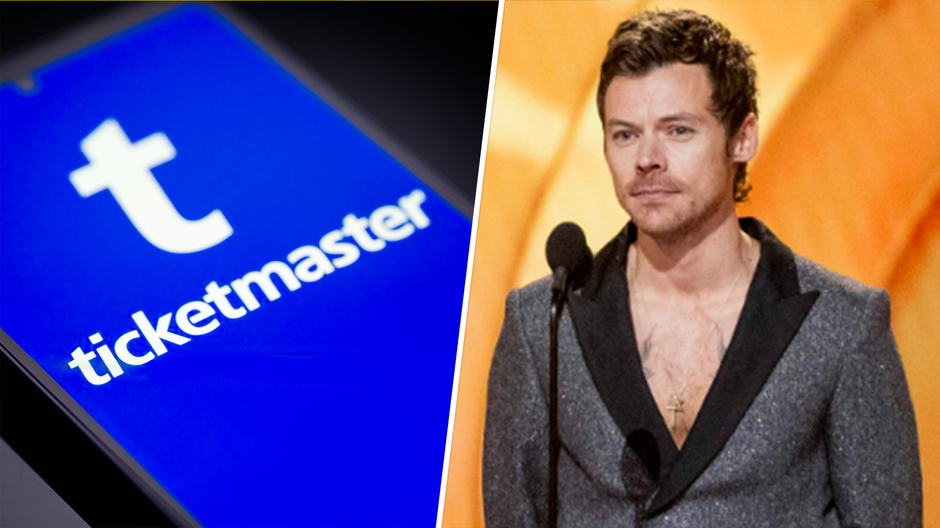 Ticketmaster Cancels Illegally Obtained Harry Styles Tickets