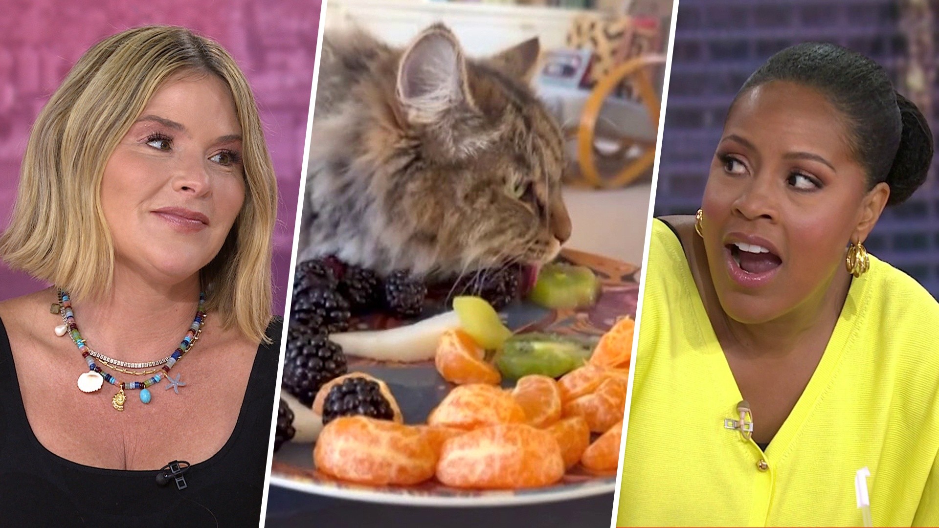 Jenna Puts Sheinelle Over the Edge With This Video of Her Cat