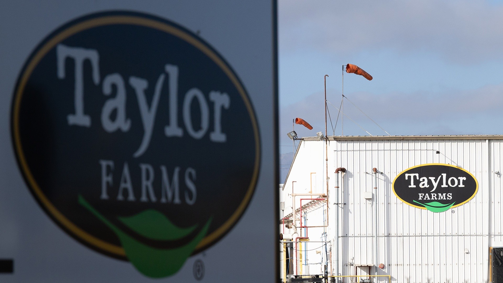 Taylor Farms Lettuce Test for Cyclospora Was False Positive: FDA