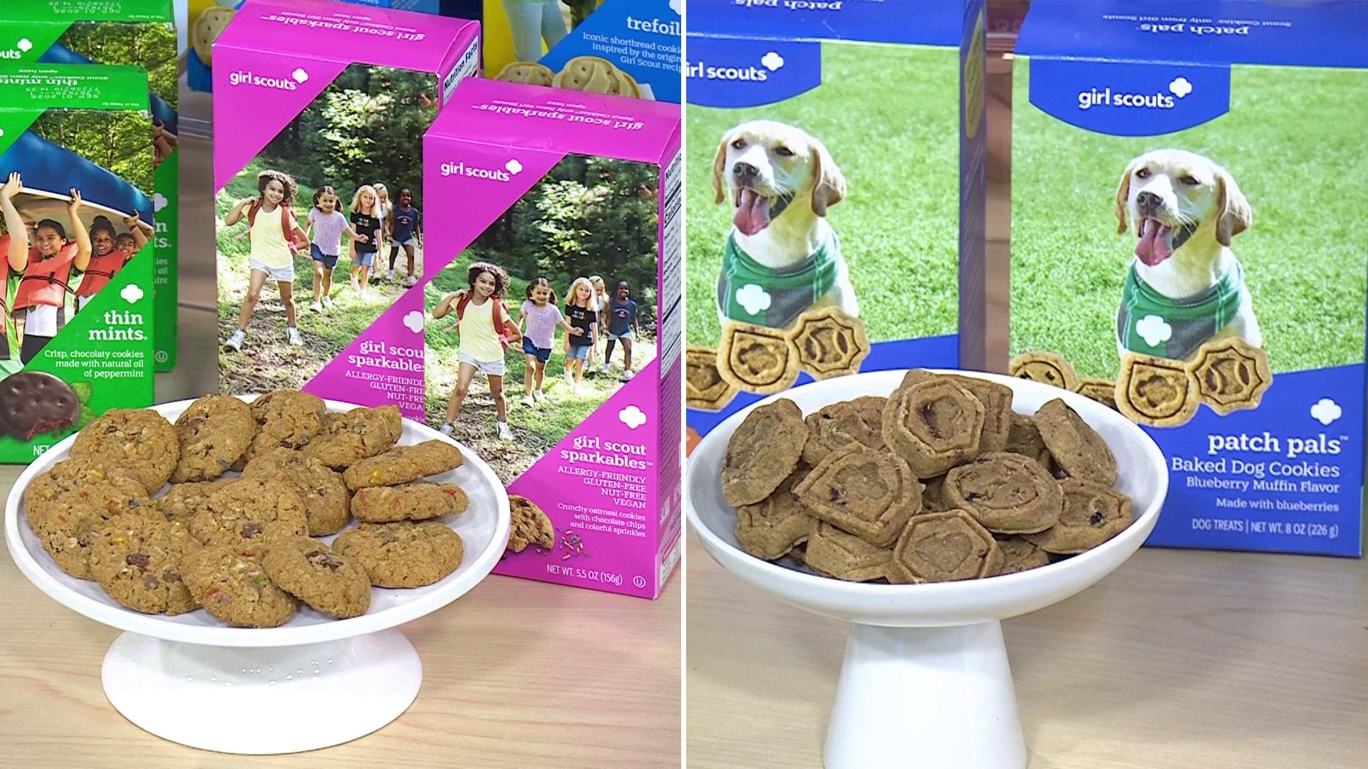 Girl Scouts Unveil New Cookie Flavors and Pup Treats on TODAY!