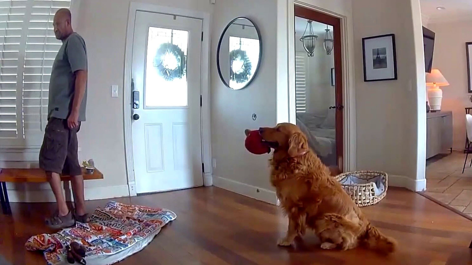 Security Video Shows Family Dog Wanting to Play With Intruder