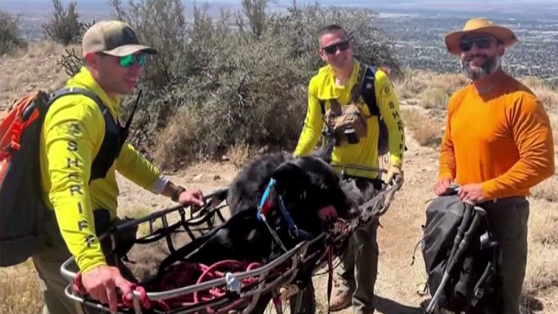 Dog Gets Special Rescue After Becoming Too Tired to Finish Hike