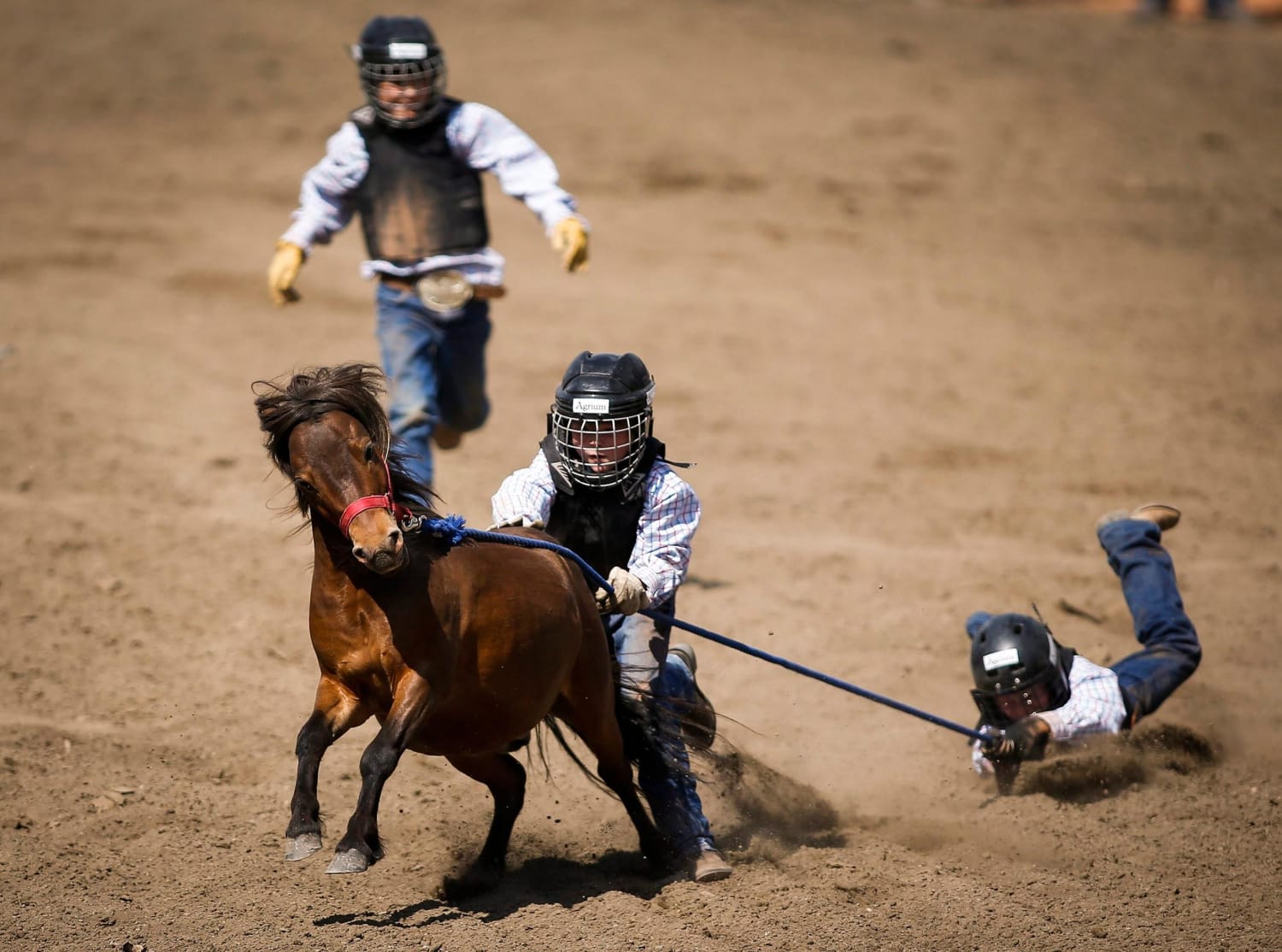 Calgary Stampede Rodeo Kicks Into High Gear