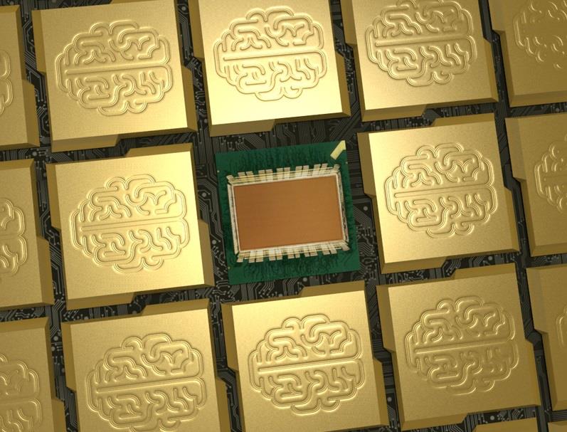 ibm_synapse_20140807_007.jpg
