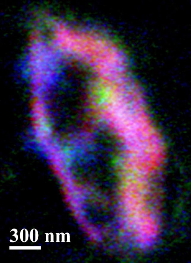Scientists Trace Seven Stardust Grains to Interstellar Space