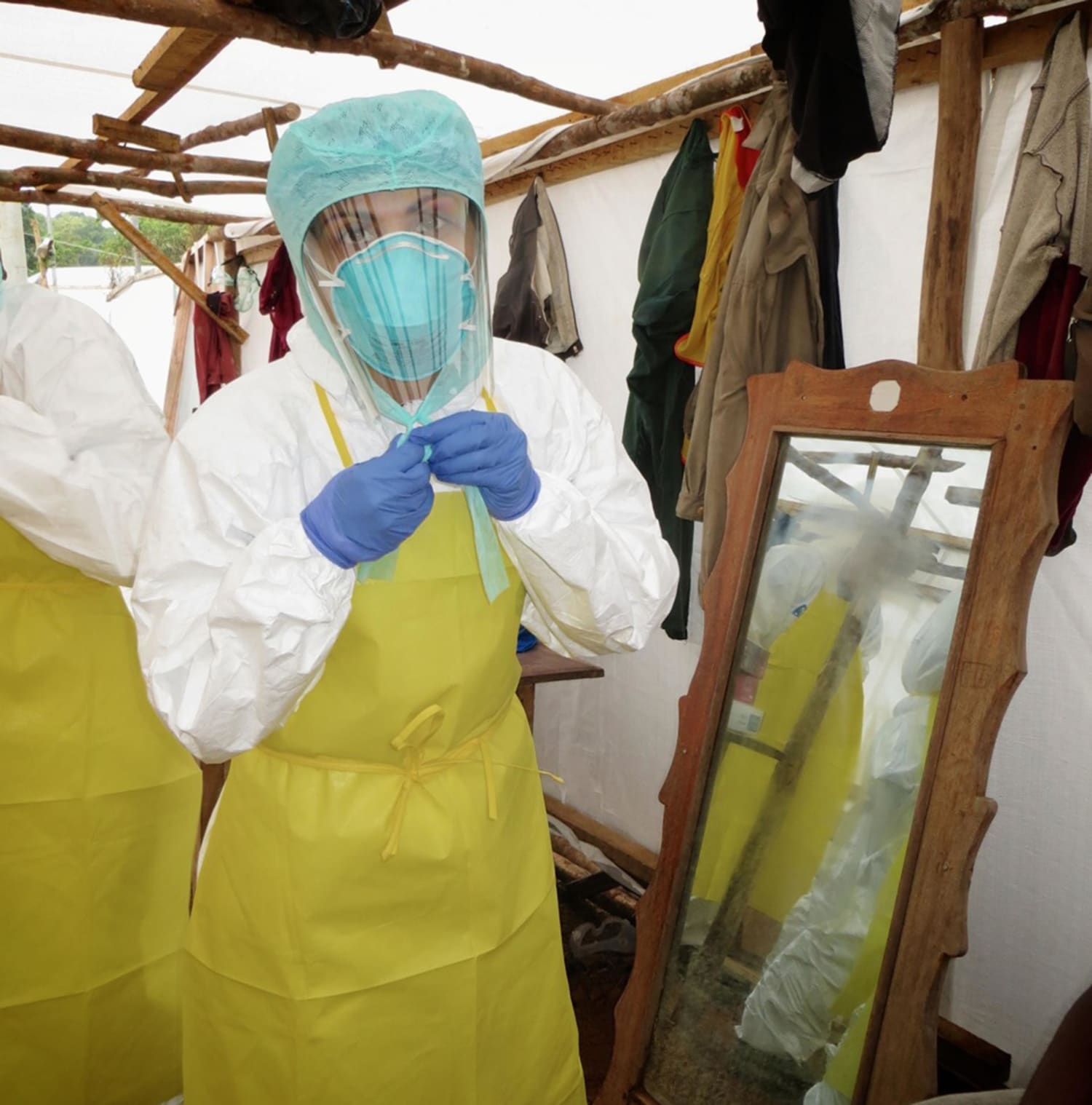 Ebola Virus: When Bad Things Happen to Good Blood Vessels - MedNorthwest