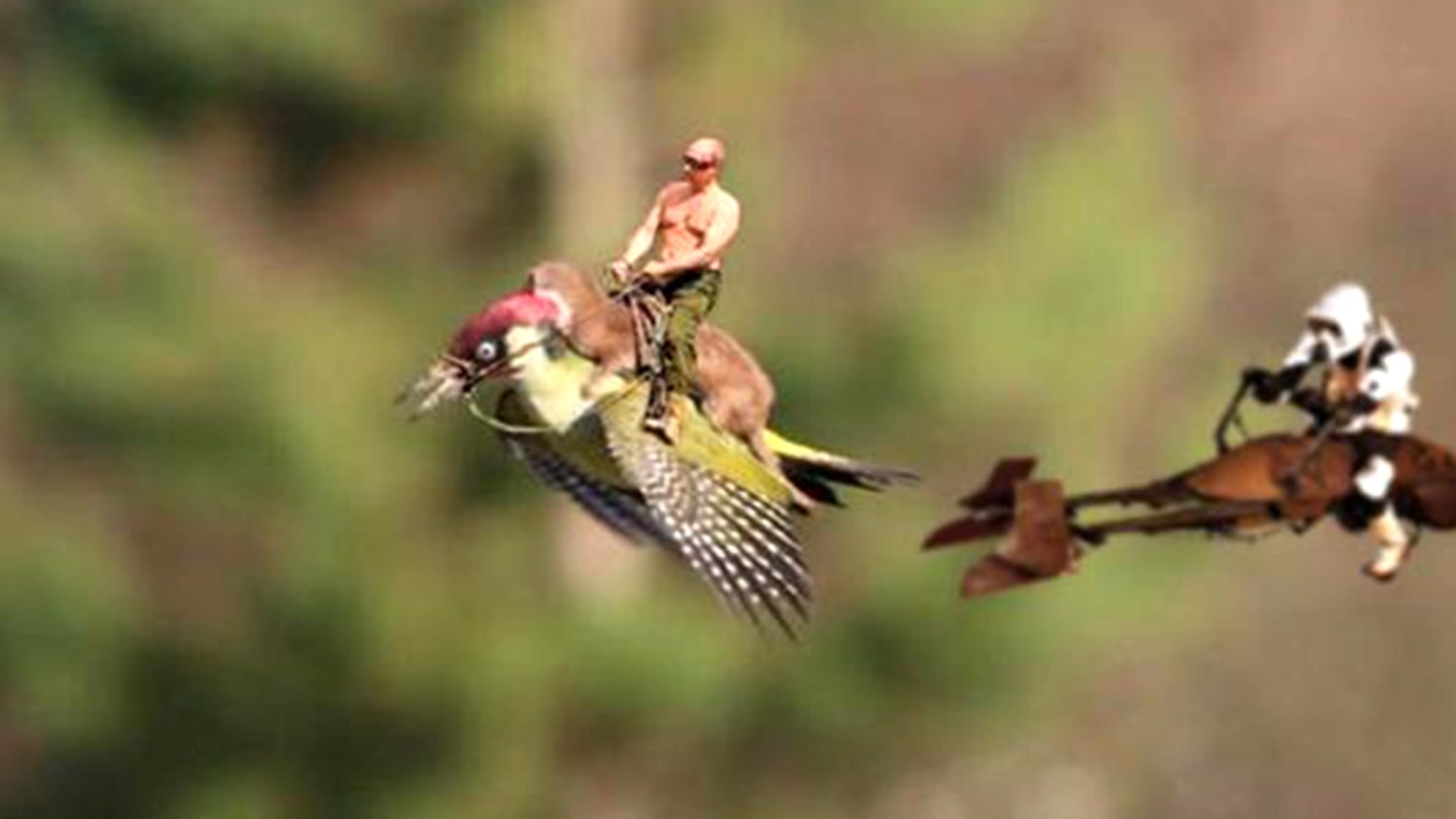 Move over, weasel! See who's riding the woodpecker in this amazing meme