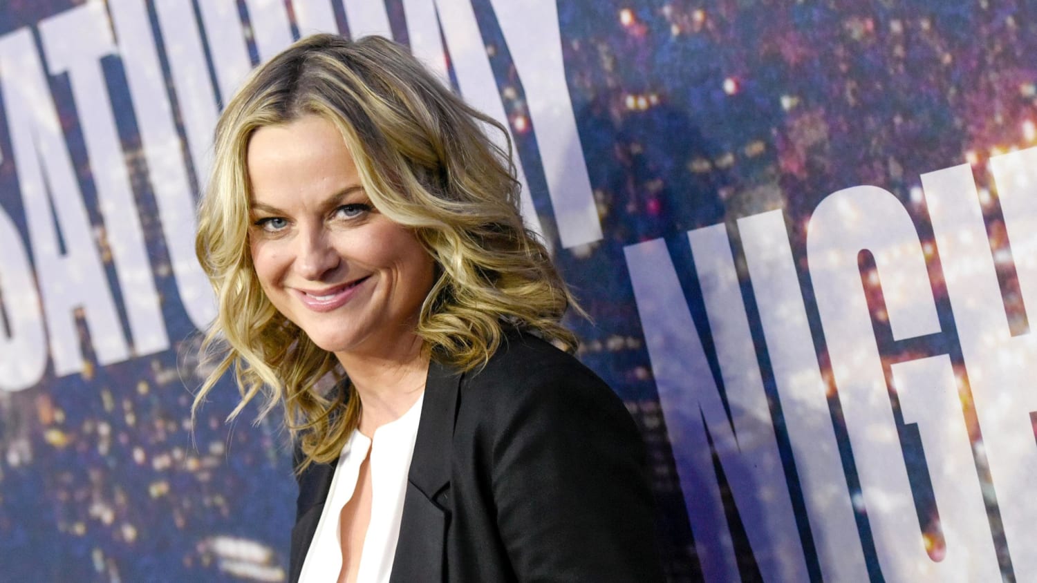 Amy Poehler Fake