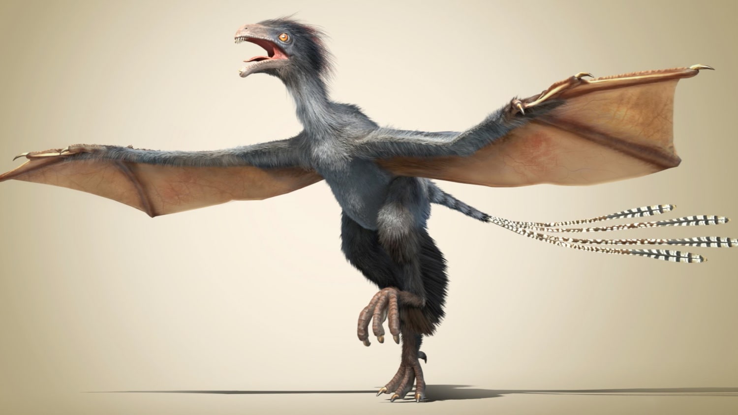 A Pigeon-Size Dinosaur with Bat Wings? Strange But True